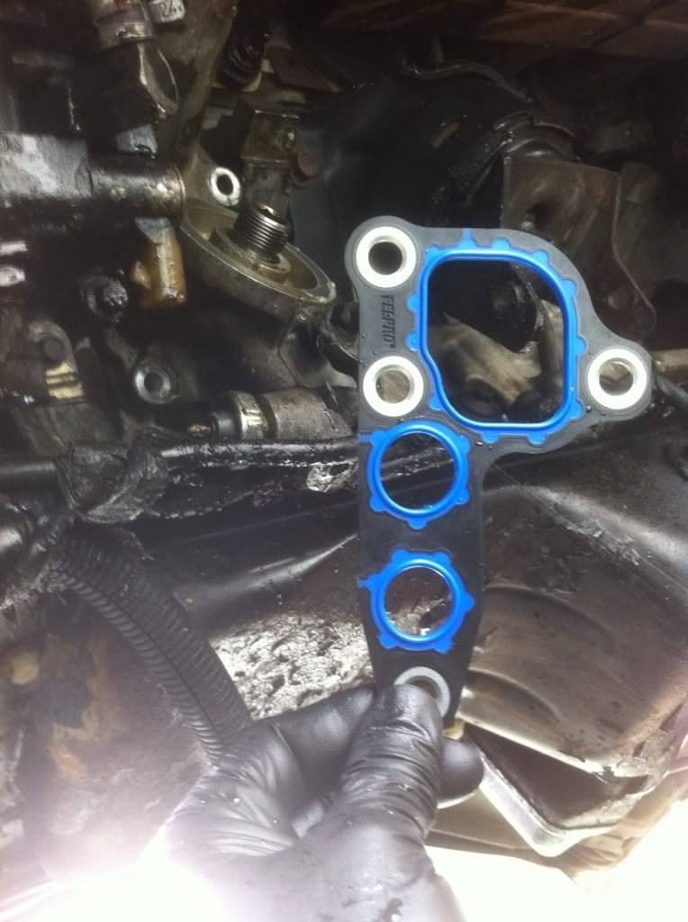 Oilpan and Oil Filter adapter gasket R/R
